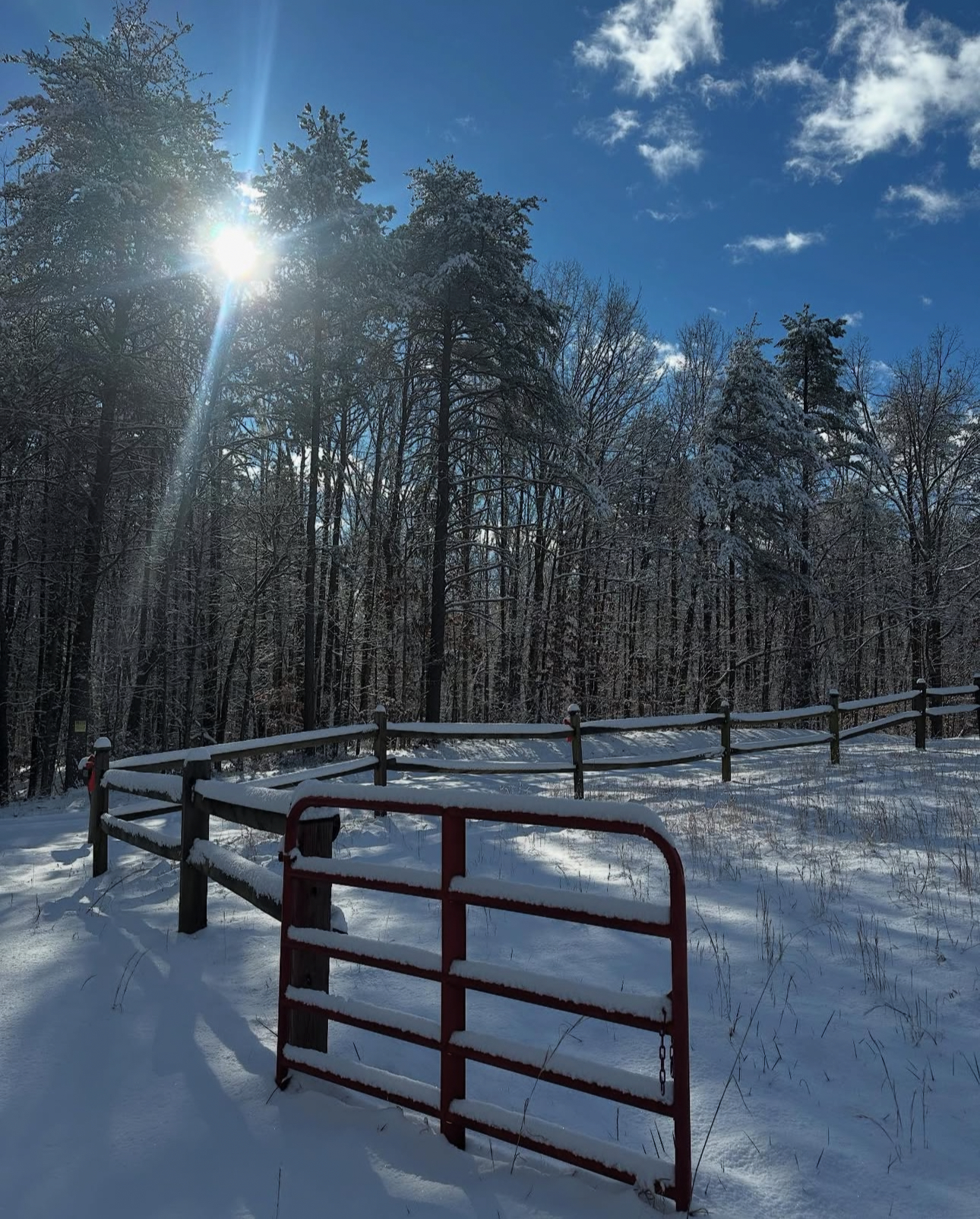 The Wildlands Cabin The Property Grounds image 3